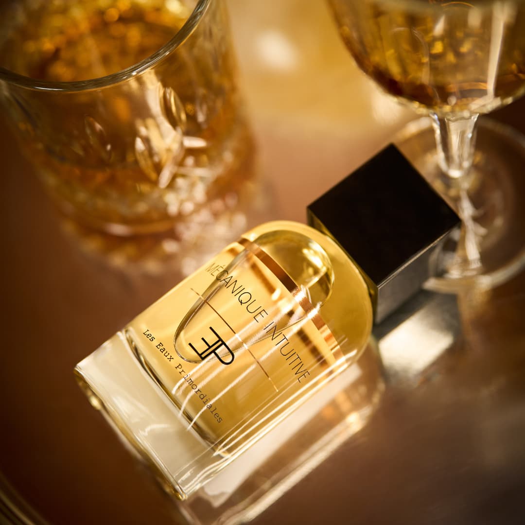 MÉCANIQUE INTUITIVE