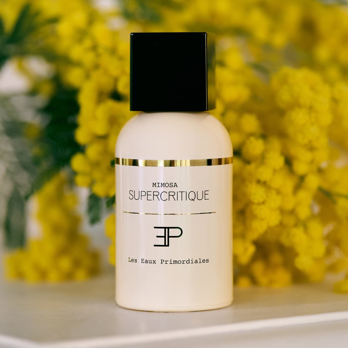 MIMOSA SUPERCRITIQUE